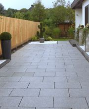 Der Grüne Baum Bild 18