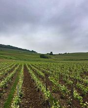 Goutorbe André et Fils image 4