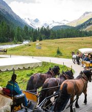 Wohlis Kutschbetrieb &  Ginas Reitschule Bild 6