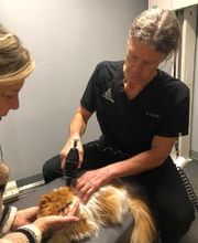 Reid Family Wellness image 8