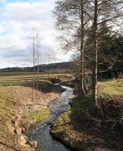 Gemeindeverwaltung Schüpfen Bild 5