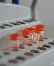 Clinique Vétérinaire Des Noes image 8