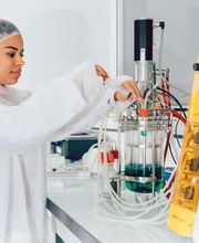 Ecole d'ingénieurs biotechnologies Paris - SupBiotech image 17