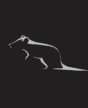 Snap Trap Schädlingsbekämpfung Bild 1