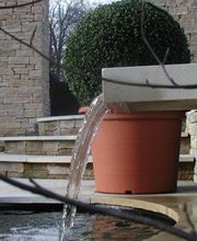 Daniel Oesch Gartenbau AG Bild 8