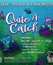 Black Bear Casino Resort image 11