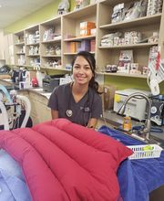 Thrive Pet Healthcare - Falcon image 2