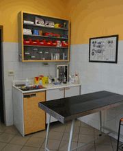 Gallery Cliente