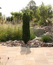 Adi's Gartenbau AG Bild 3