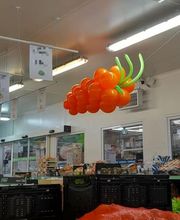 David Ballon Evolution image 12