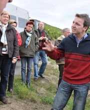 Wein- und Gästehaus Genetsch Bild 11