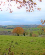 Nature Sophro image 3