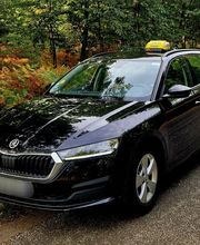 Taxi Ludovic Thibault image 1