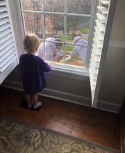 Rocky Top Restoration image 17