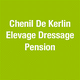Chenil De Kerlin Elevage Dressage Pension Canine