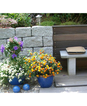 GARTEN KERN P. - GALABAU Bild 1