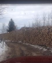 Savary Marc Sàrl Bild 6