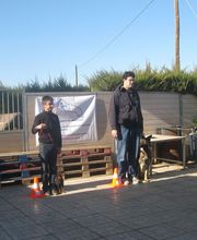Piolcan Adiestramiento Canino y centro de formación imagen 8