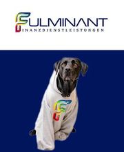 Unser Bürohund: Ivy