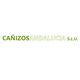 cañizos-logo.png