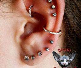 Manu Taptrofor Piercing image 15