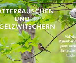 Bestattungen Steffen Räthel Bild 6