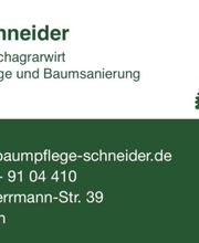 Baumpflege Schneider Bild 1