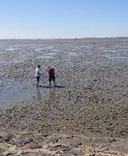 schön Ebbe und Flut erleben