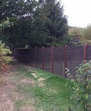 Normandie Gazon image 2