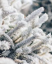 KsS KniesServices Bild 3