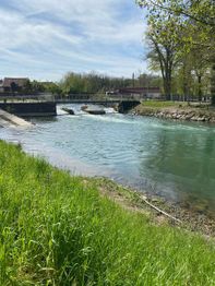 Psycab Marie José Abuzakuk