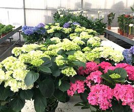 plantas-interior-04.jpg