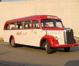 Adorf Omnibus GmbH Bild 5