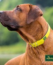 Centro Veterinario Preluna Bild 5