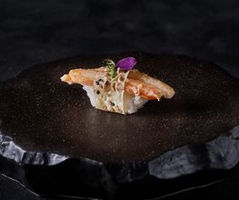 Kaizen Sion Bild 5