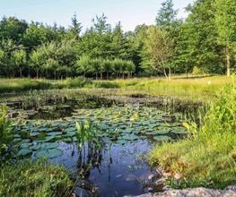 LES JARDINS SOTHYS image 8