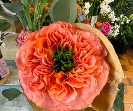 Gaëlle Fleurs Sàrl Bild 5