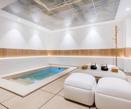 Wellness Barceló Marbella imagen 2