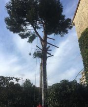 T2H Espaces Verts image 6