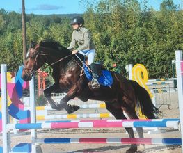 Centre Equestre De La Tour image 2