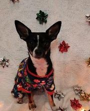 Cynthia A. Bolton, DDS image 8