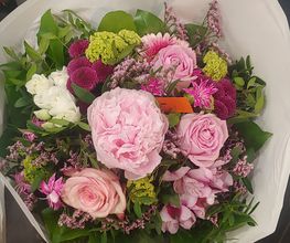 Blumen Belga Bild 3