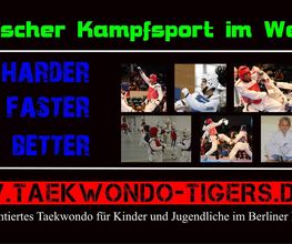 Taekwondo Tigers Berlin Bild 3