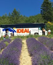 IDEAL REISEN - unterwegs mit netten Menschen Bild 13