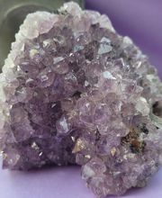 Coralie Shop image 8