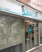 ADIANTUM 93 image 2