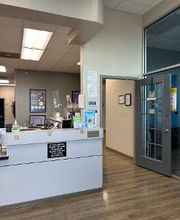 Brident Dental & Orthodontics image 7