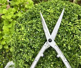Gartenservice Mark Miess Bild 51