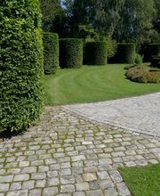 Pascal Olivier Architecte paysagiste conseils Bild 10