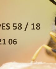 Dufour Gaetan A.E. image 5